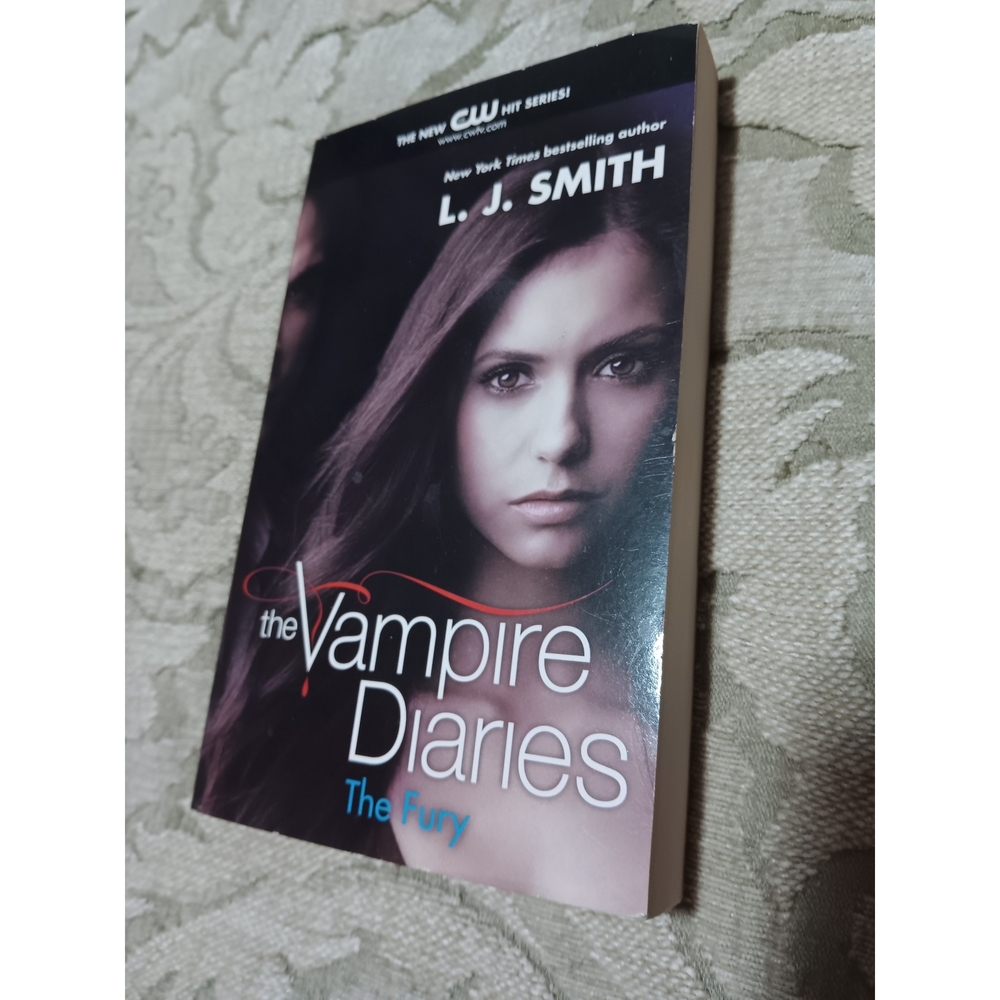 The Vampire Diaries: The Fury by L. J. Smith - Black & Brown Cover